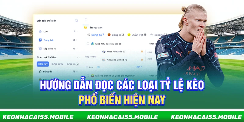 Hướng dẫn đọc các loại tỷ lệ kèo phổ biến hiện nay 