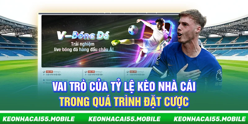 Vai trò của tỷ lệ kèo nhà cái trong quá trình đặt cược 