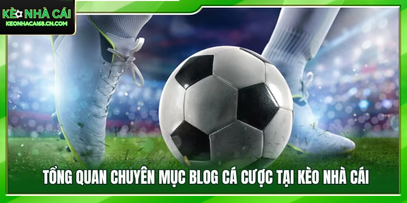 Khám phá blog cá cược đa dạng và chuyên sâu tại Kèo Nhà Cái