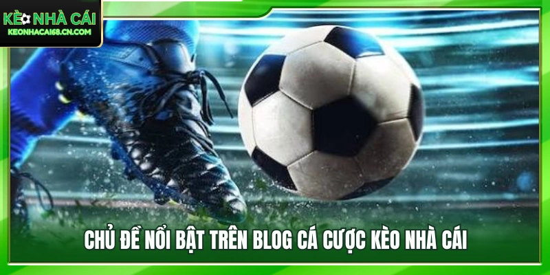 Chuyên mục hấp dẫn thu hút đông đảo người đọc mỗi ngày