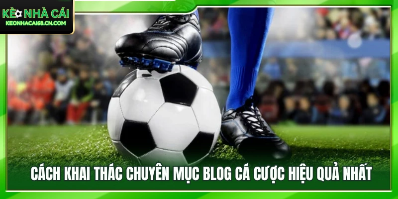 Hướng dẫn tận dụng nguồn thông tin trên blog