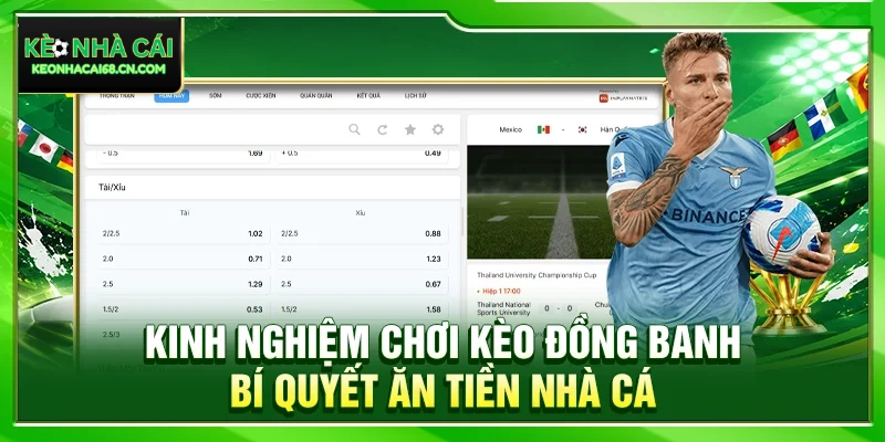 Kinh Nghiệm Chơi Kèo Đồng Banh – Bí Quyết Ăn Tiền Nhà Cái 5 Kinh Nghiệm Chơi Kèo Đồng Banh – Bí Quyết Ăn Tiền Nhà Cái
